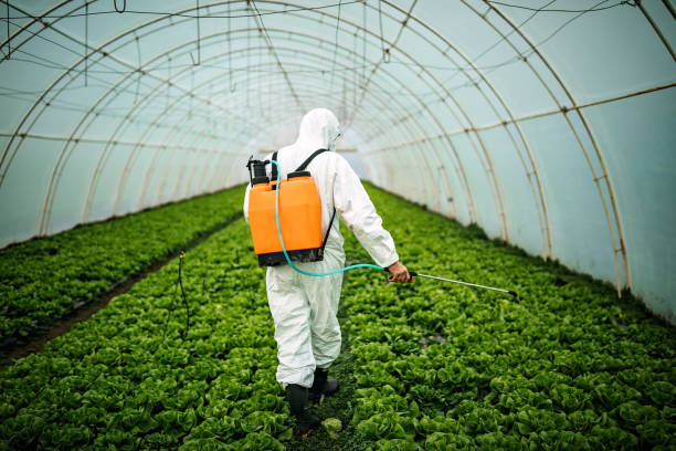 Best Pest Removal Services  in Lincoln, MT