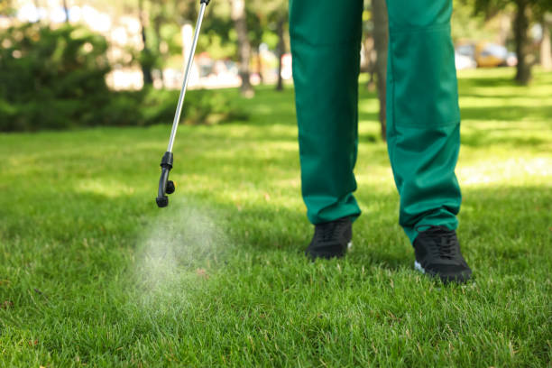 Professional Pest Control in Lincoln, MT