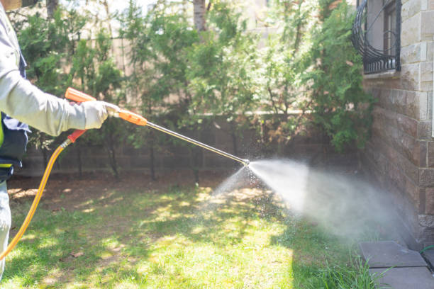 Best Insect Control  in Lincoln, MT